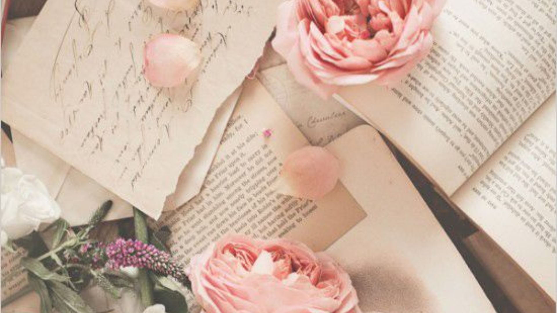 Imagem de cartas, livros e flores rosas, e algumas pétalas soltas.