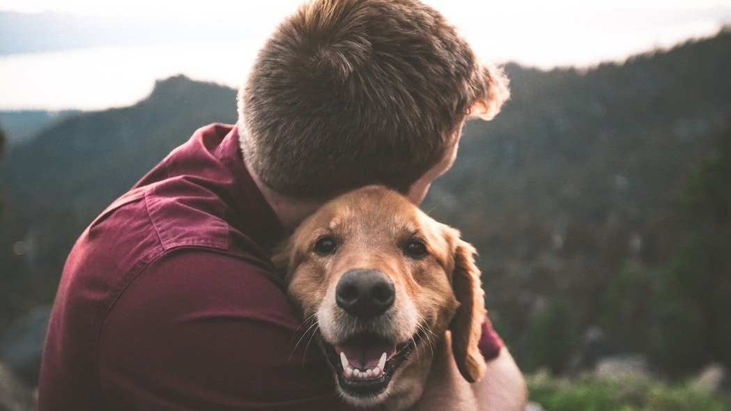 Mensagens para o Dia Nacional dos Animais