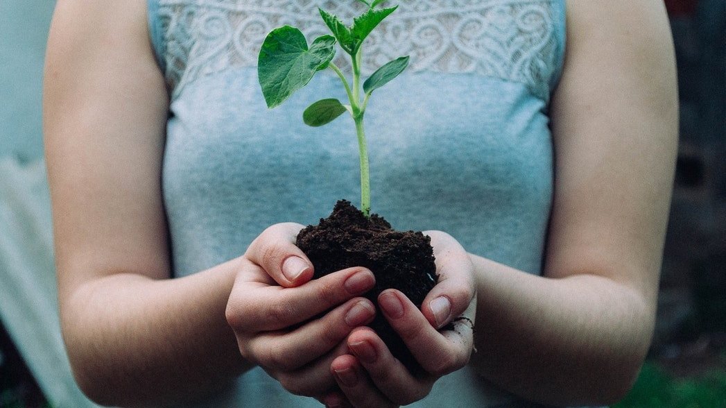 10 hábitos para começar a ajudar o planeta