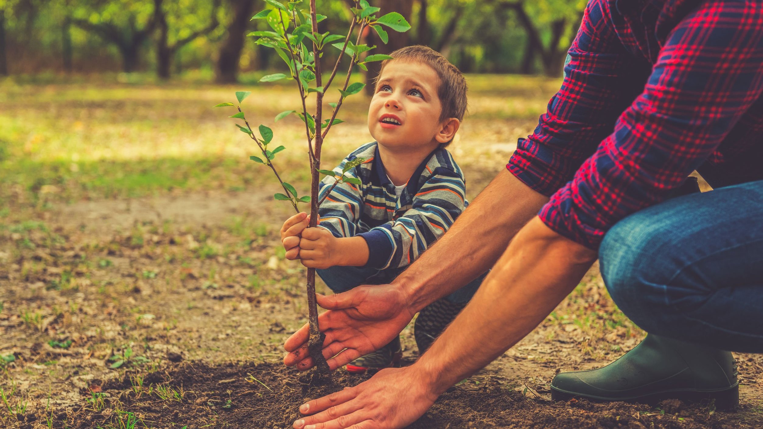 Motivos para você começar a preservar a natureza