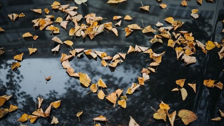 Mensagens românticas para o outono