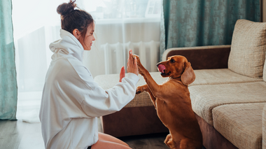 Mulher brincando e tocando na patinha do cachorro