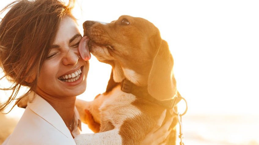 Mulher com cachorro no colo recebendo lambida no rosto