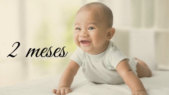 Bebê de barriga para baixo na cama com cabeça levantada sorrindo e escrito: 2 meses