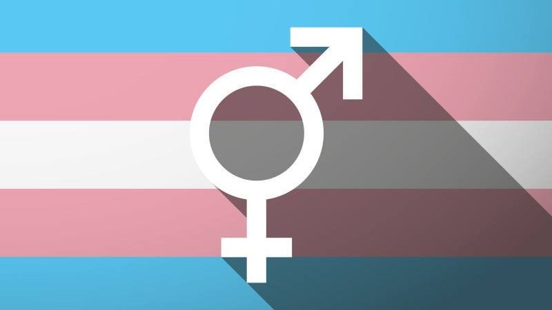 Dia da Visibilidade Trans