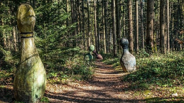 Floresta de conto de fadas