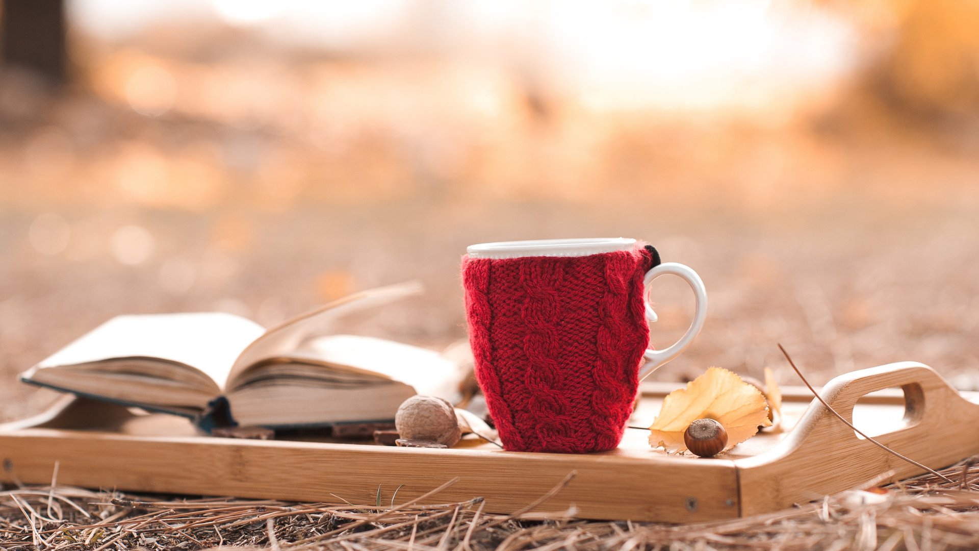 Caneca e livro sobre uma bandeja de madeira na grama em um dia de outono