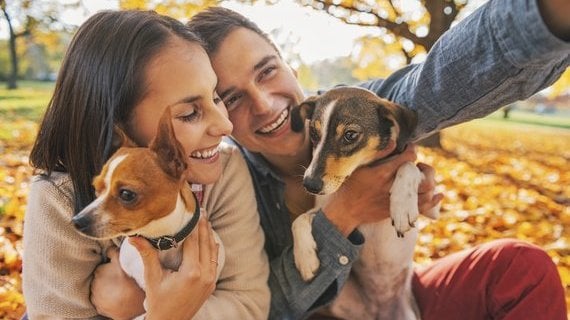 Legendas para selfie com animais