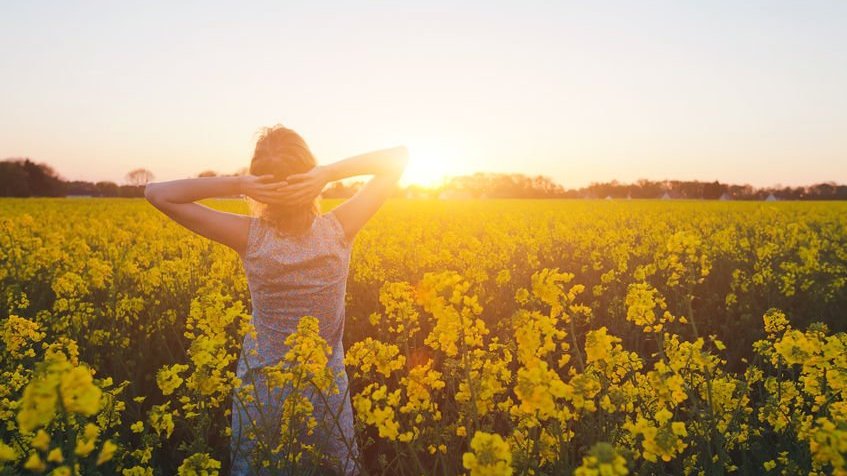 Mulher em meio a um campo de flores