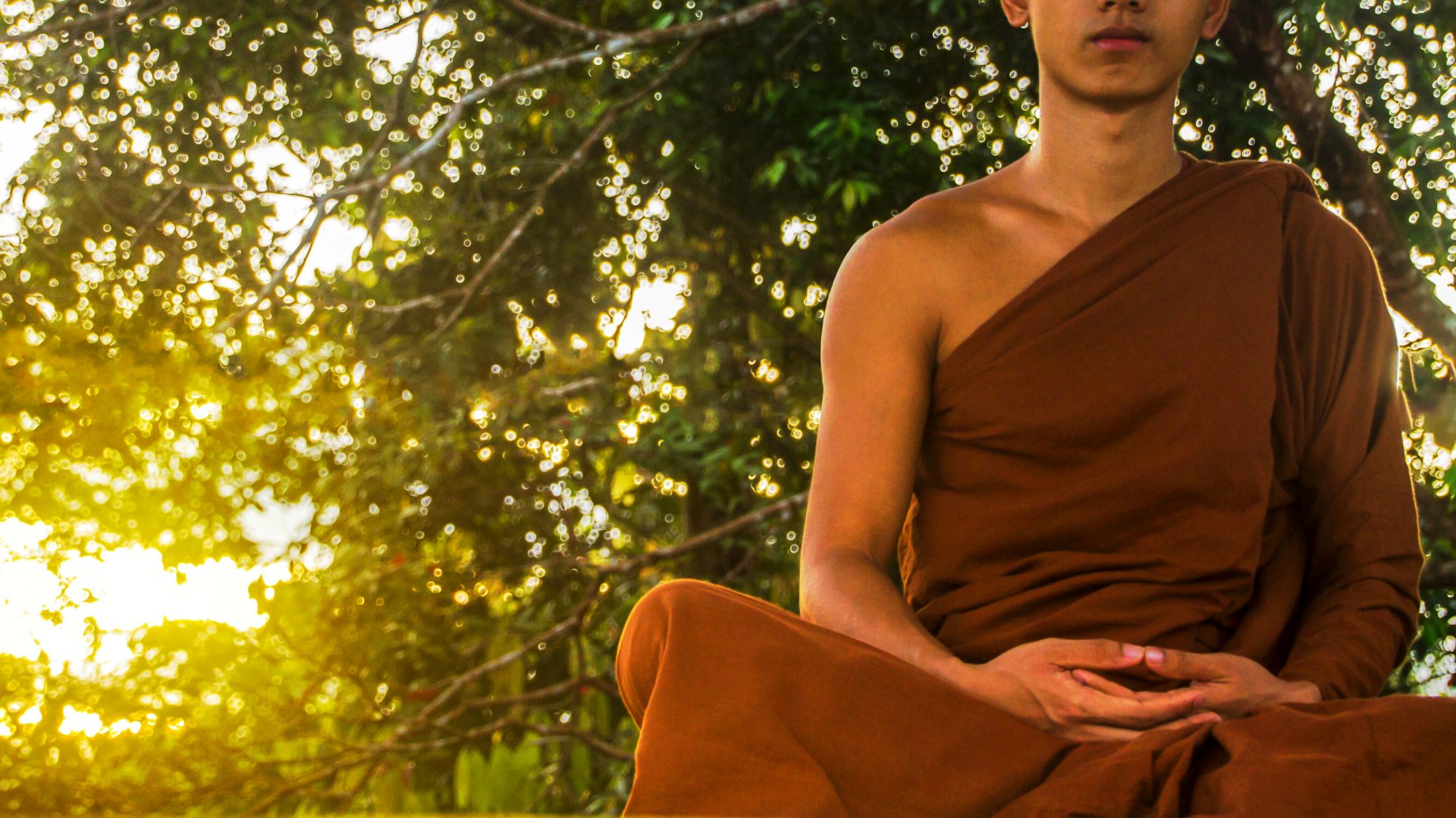 Monge budista meditando na floresta