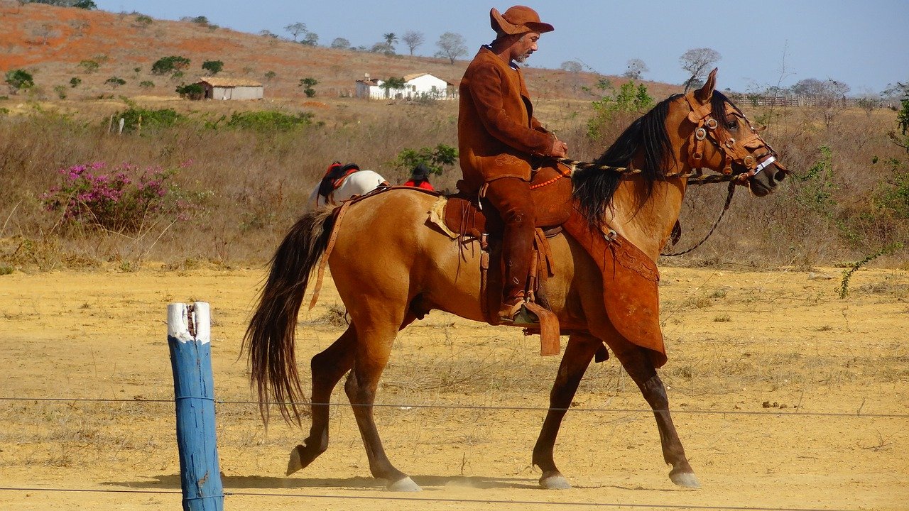 Dia do Sertanejo