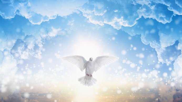 Imagem de uma pomba branca voando entre nuvens