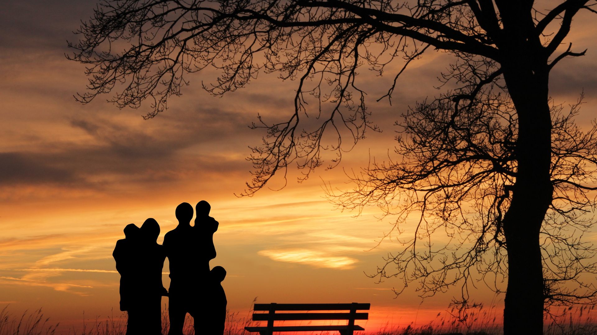 Imagem de uma família vendo o pôr-do-sol em uma praça com um banco e uma árvore e o céu alaranjado