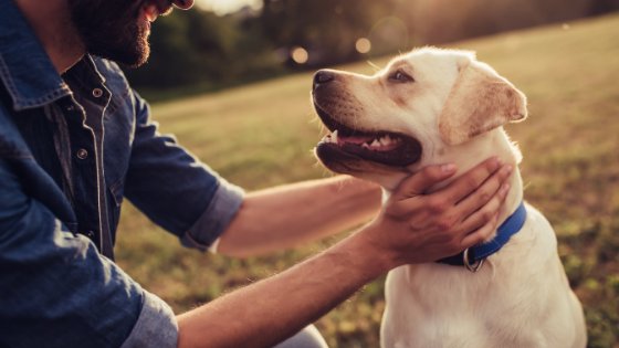 Homem ao lado de seu cachorro