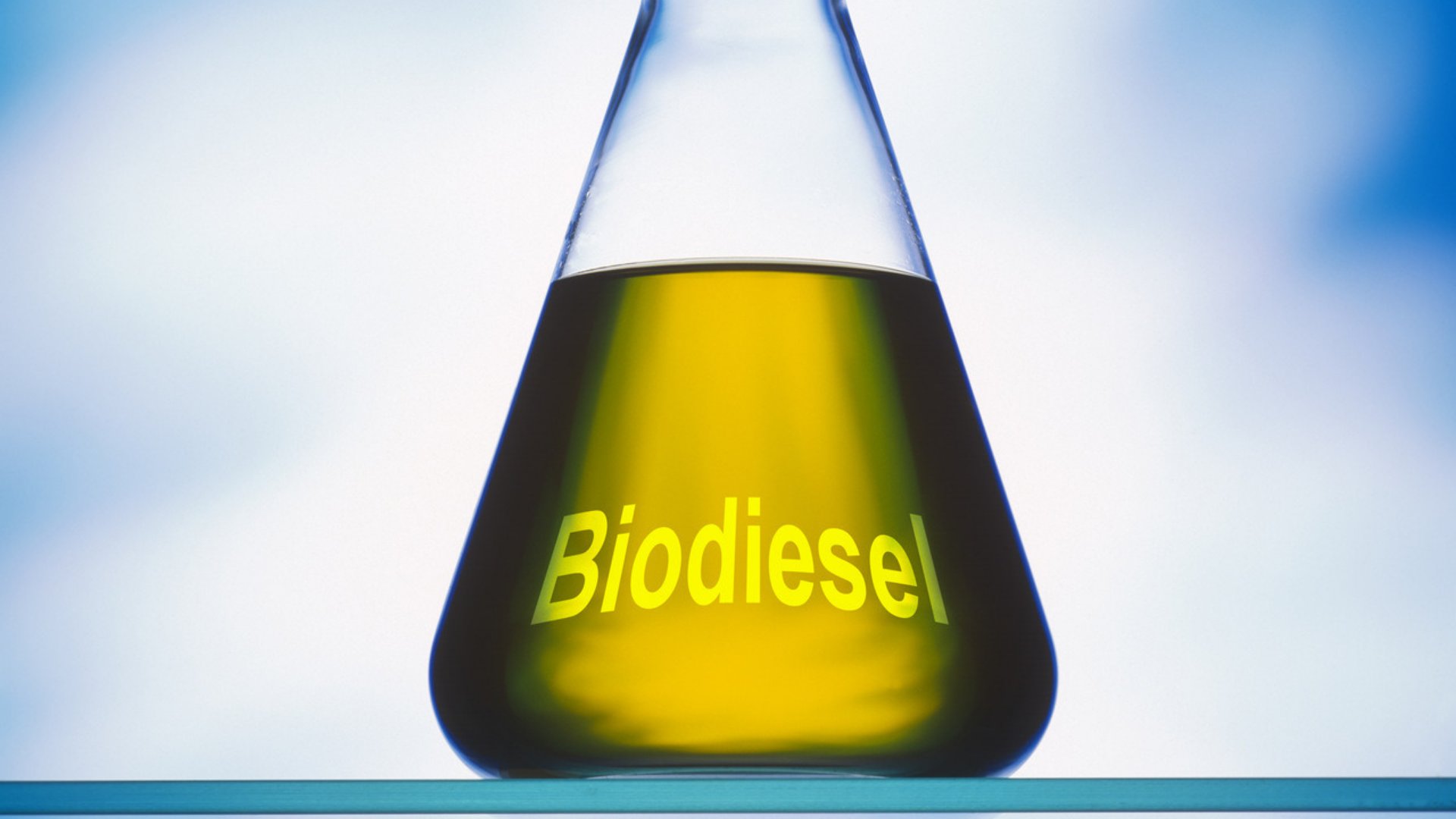Dia Internacional do Biodiesel