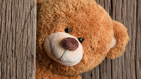 Dia do Ursinho de Pelúcia: ele demonstra amor e carinho