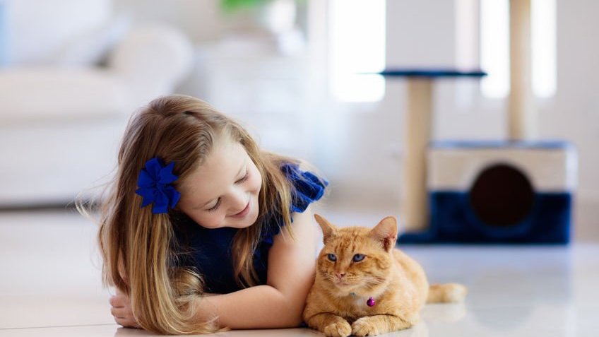 Menina deitada ao lado de gato