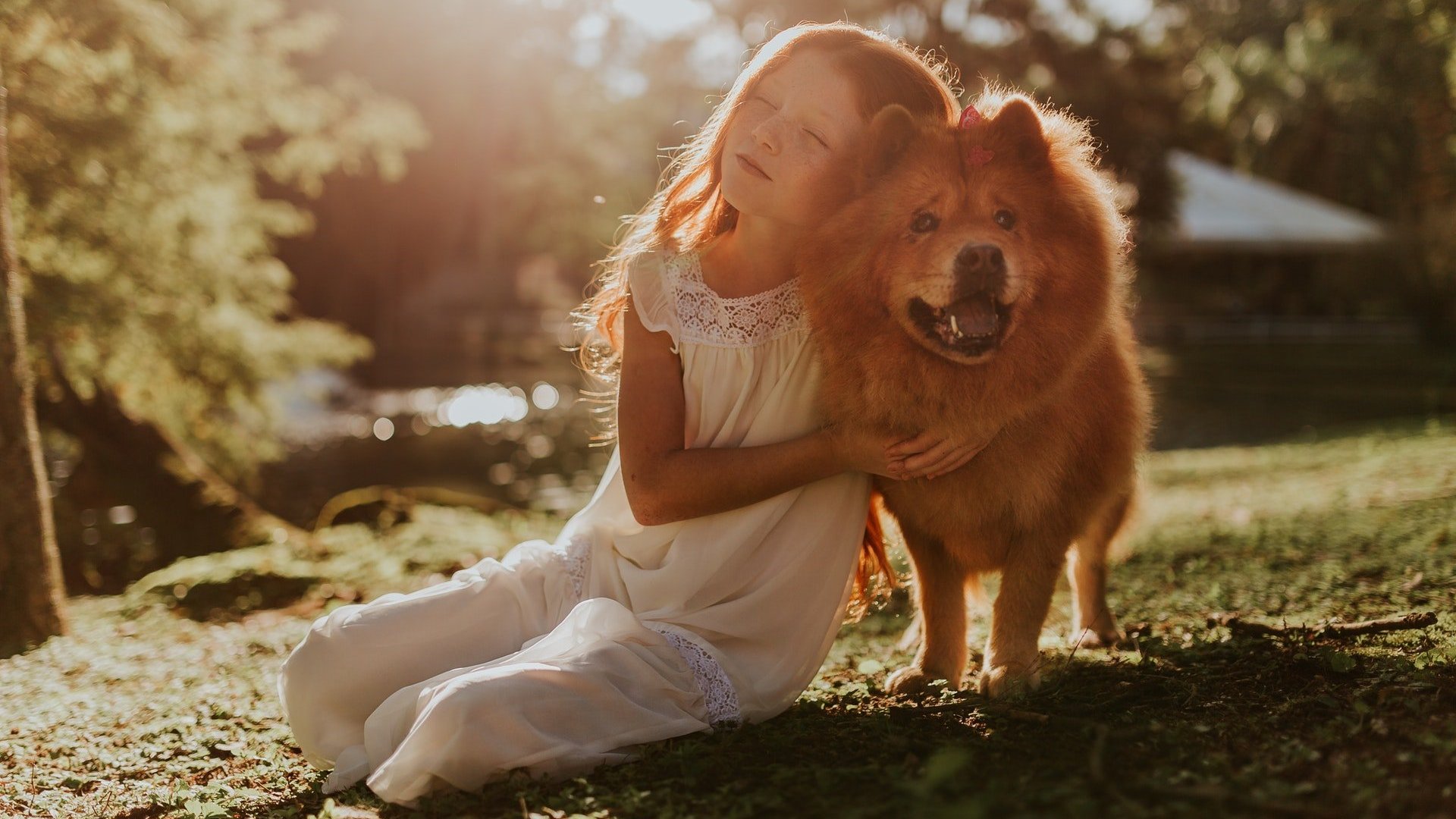 Mensagens de gratidão aos animais de estimação