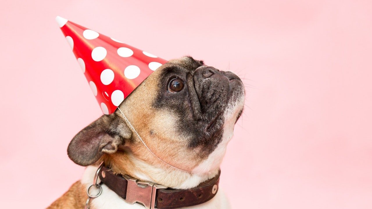 Mensagens de Aniversário para Médico Veterinário