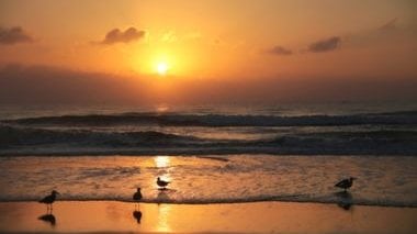 Alberto Nogueira Junior / Getty Images / Canva Pro / Mensagens Com Amor Nascer do sol na praia
