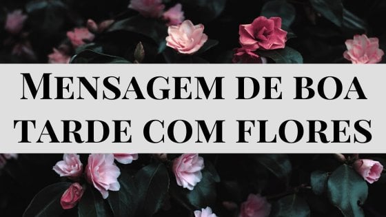 Mensagem de boa tarde em flores escrito em cima da uma foto de uma roseira.