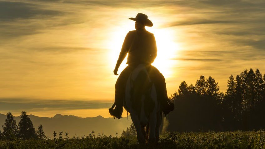 Cowboy montado em cavalo