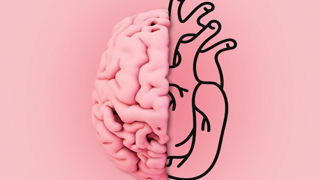 Imagem com fundo rosa claro e uma ilustração da junção de metade de um cérebro e metade de um coração.