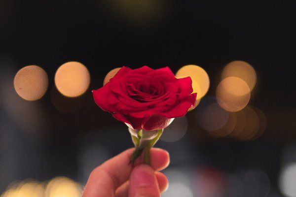Mensagem de boa noite com rosas. Surpreenda com elegância!