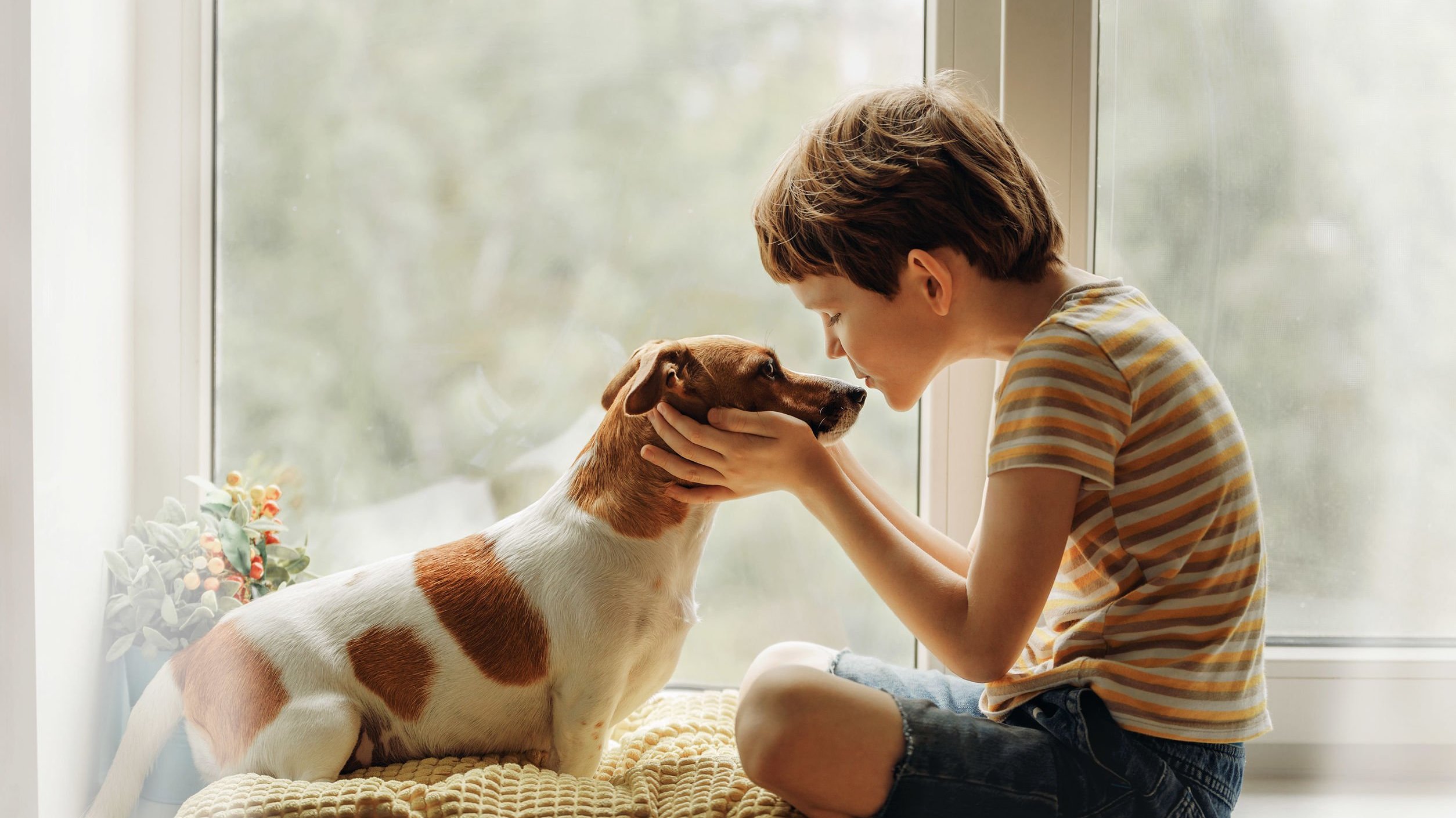 Criança beijando o cachorro