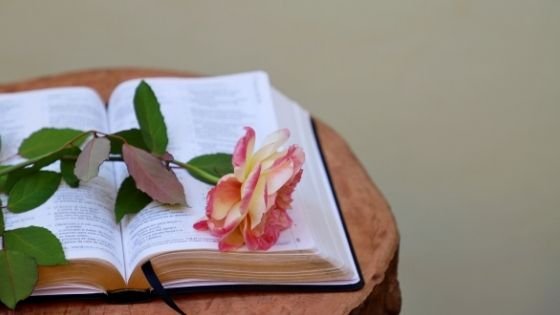 Bíblia aberta sob a mesa com uma rosa em cima.