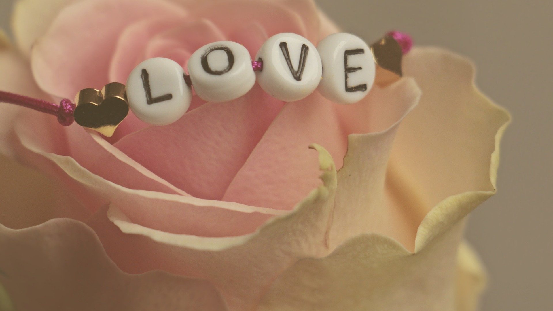 Foto de flor e palavra amor escrita em inglês