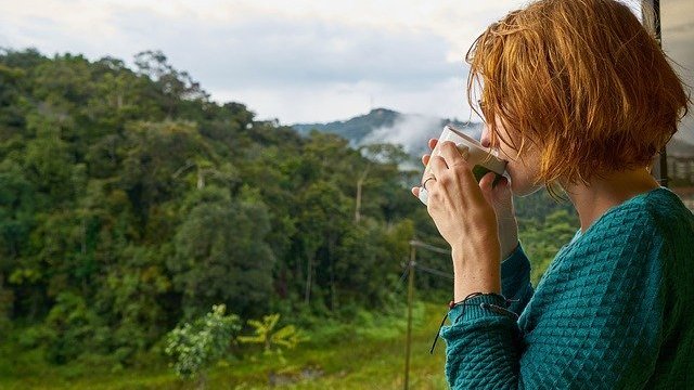 Mulher tomando café olhando para floresta