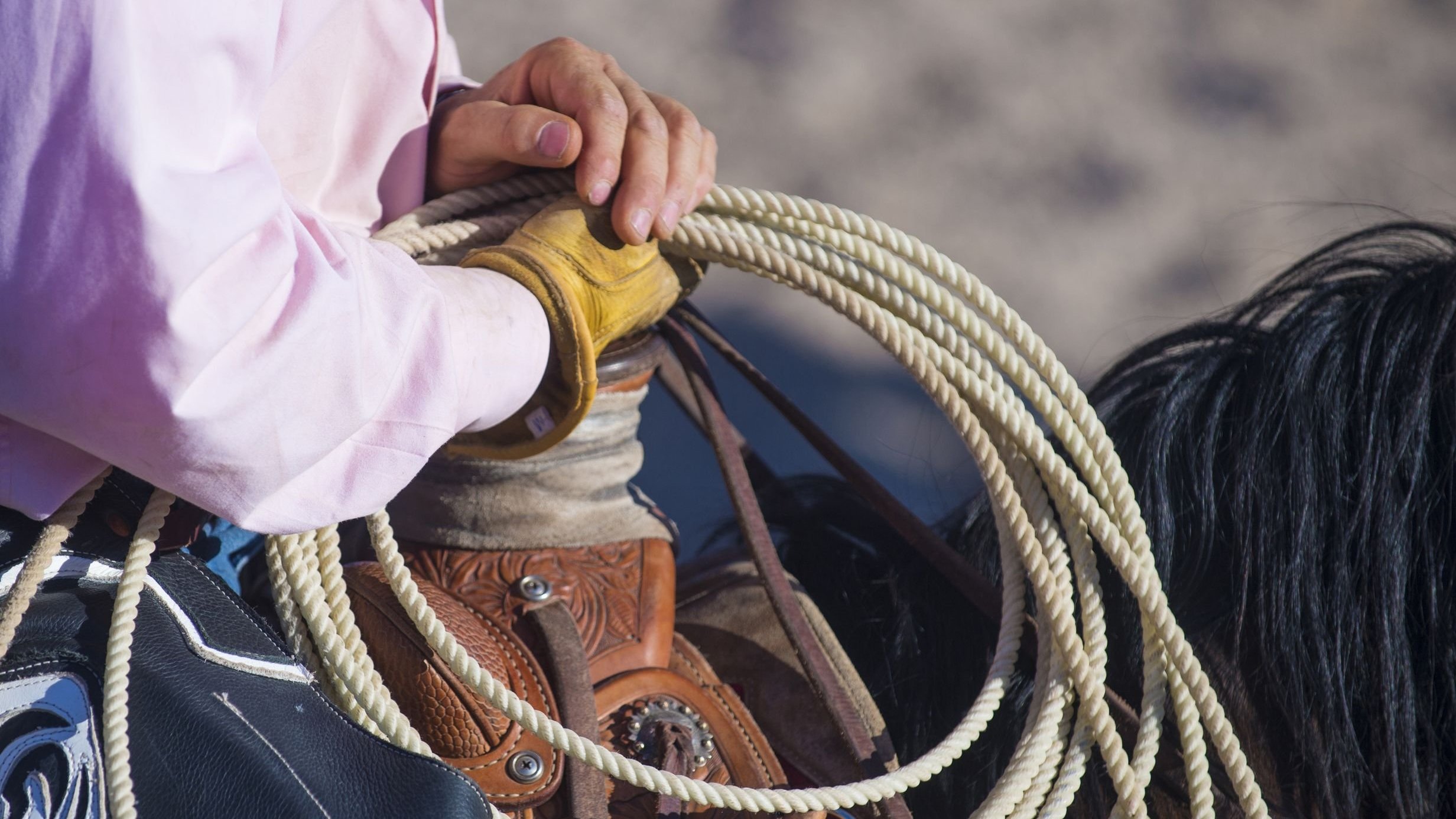 Peão em cima de um cavalo segurando uma corda enrolada em seu pulso. A foto está em detalhe e não é possível ver o rosto do homem e nem a cabeça do cavalo.