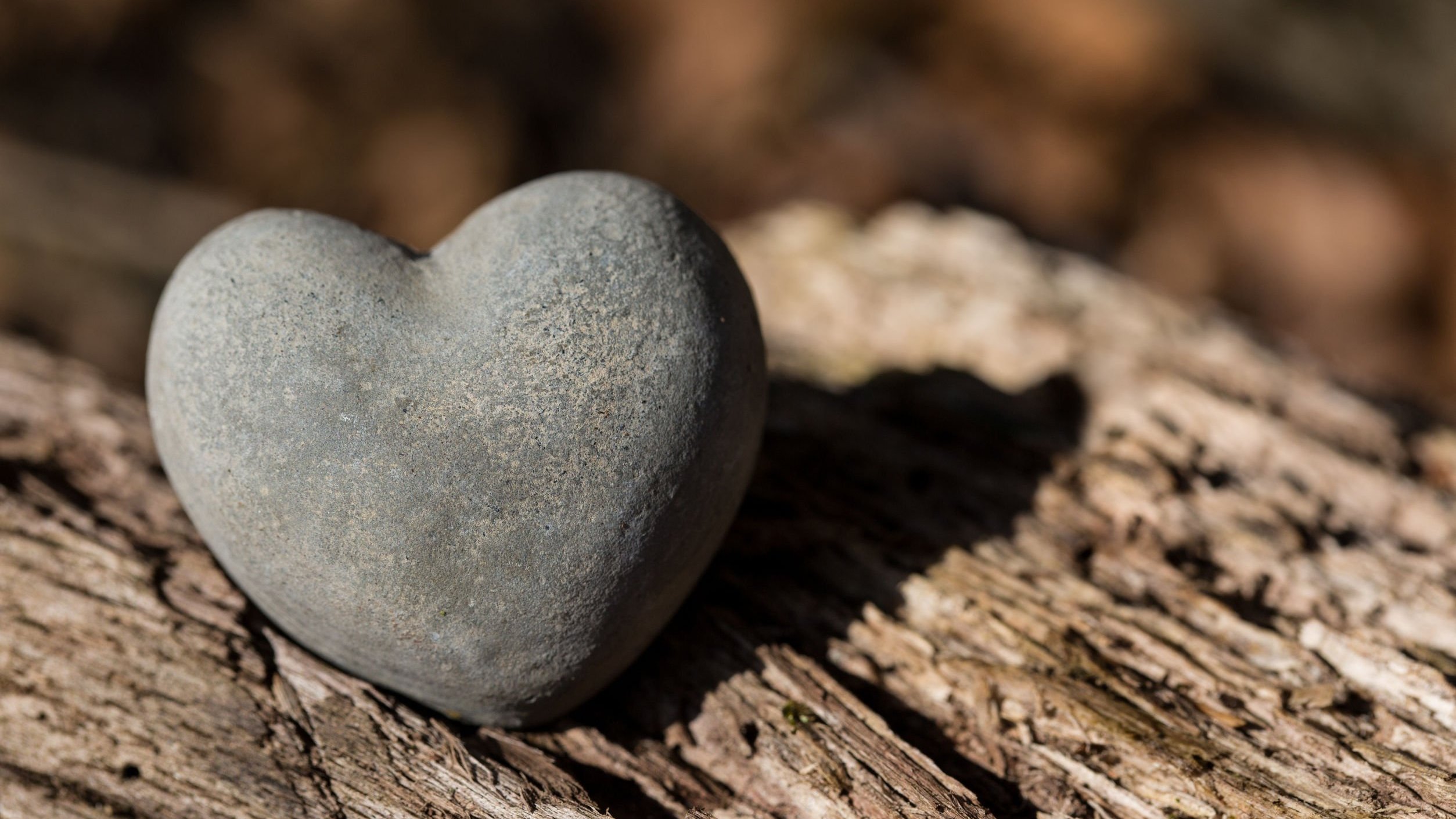 Foto de pedra em formato de coração