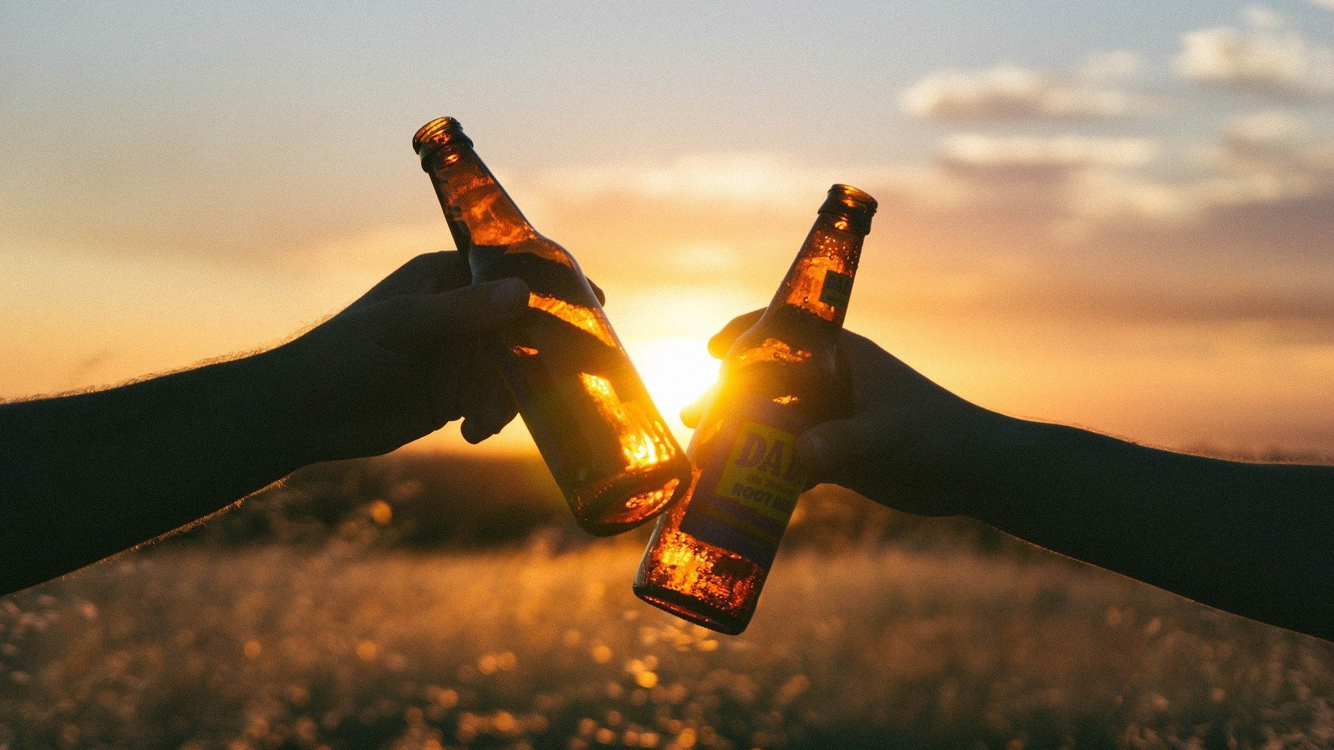 Free-Photos / Pixabay Pessoas brindando com cerveja em pôr do sol