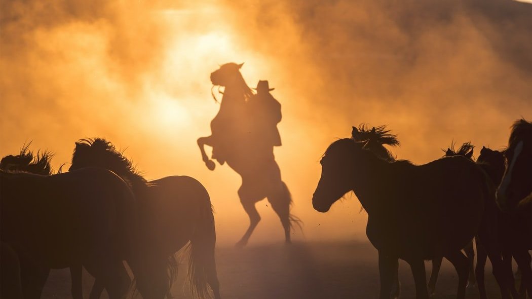 Cowboy montado em cavalo e mais cavalos ao redor