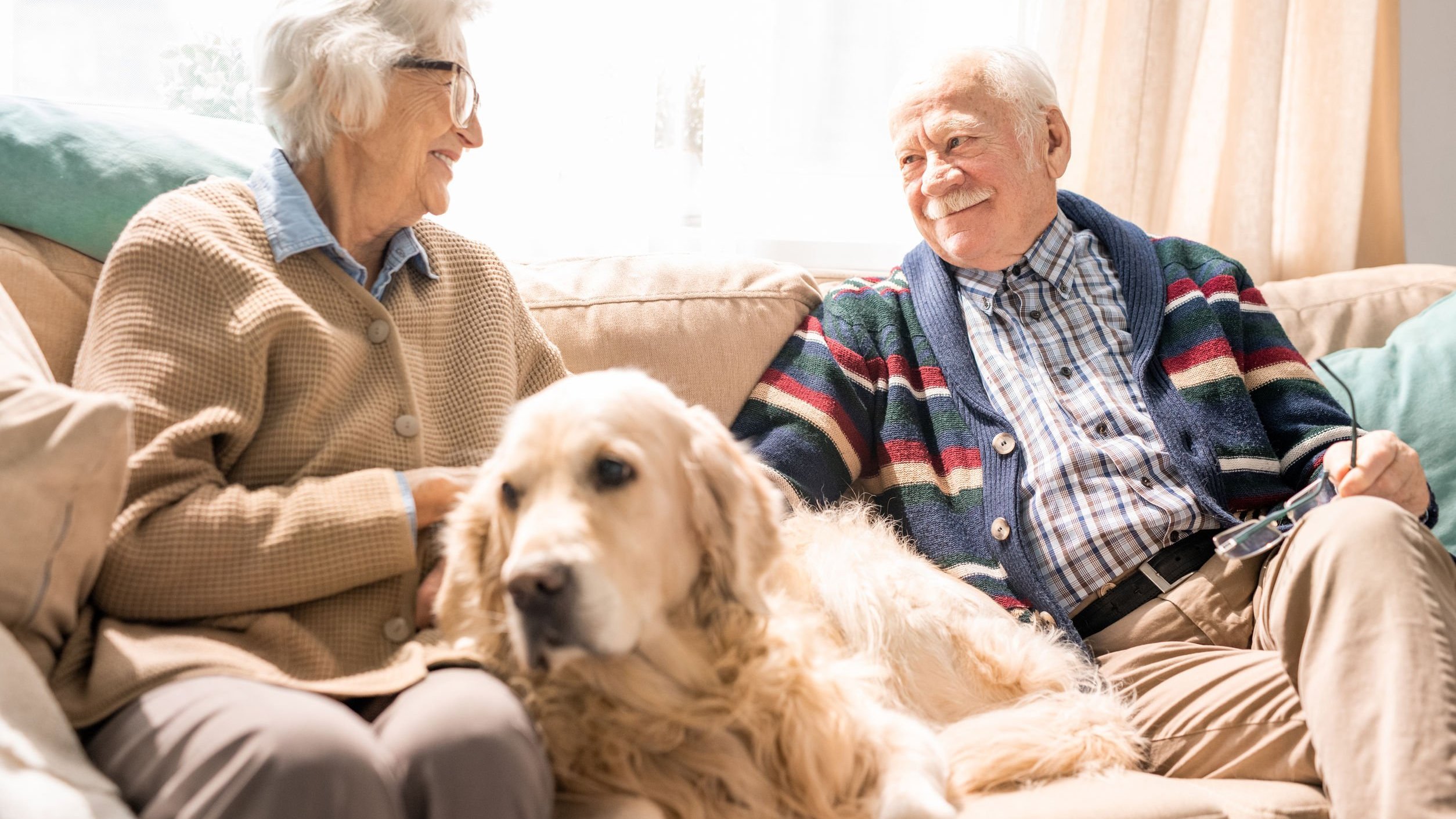 Casal de idosos sorrindo sentados em sofá ao lado de cachorro