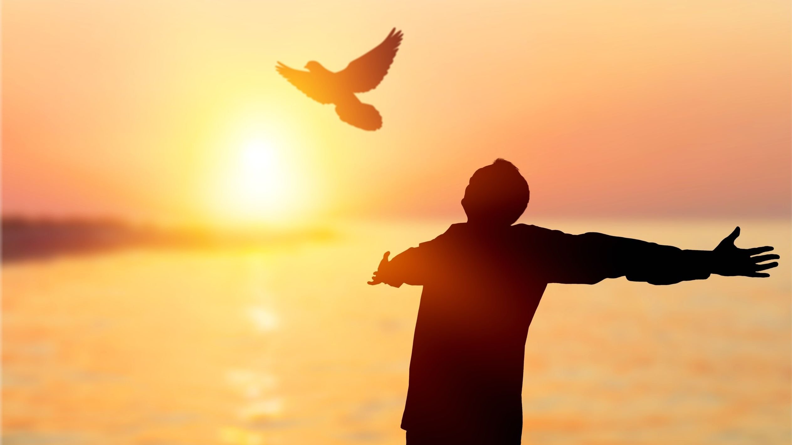 Homem com os braços abertos, recebendo a luz do sol. Uma pomba sobrevoa perto dele.