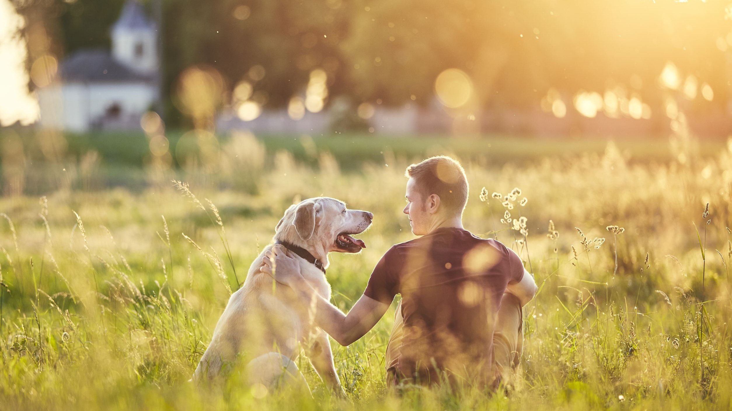 Homem sentado em campo com cachorro de estimação