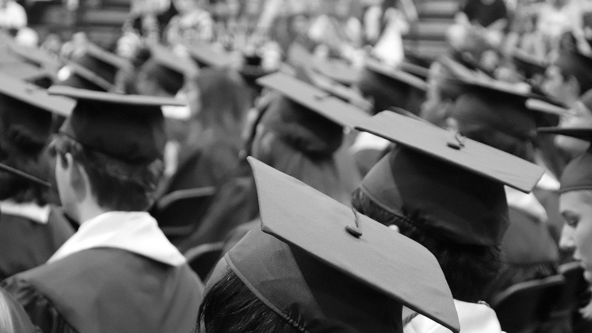 Pessoas em formatura, todas de capelo e beca