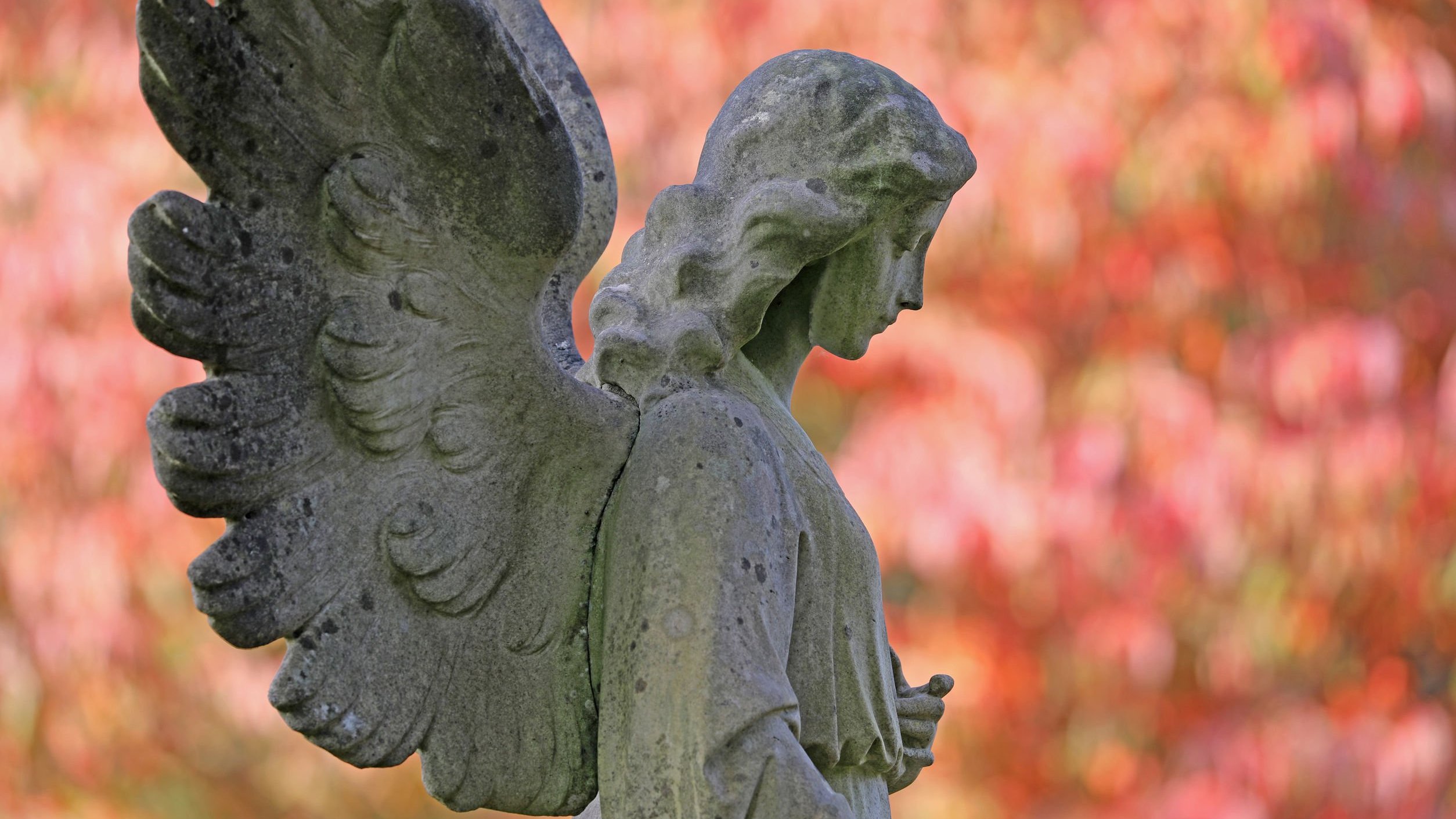 Памятник ангел осень