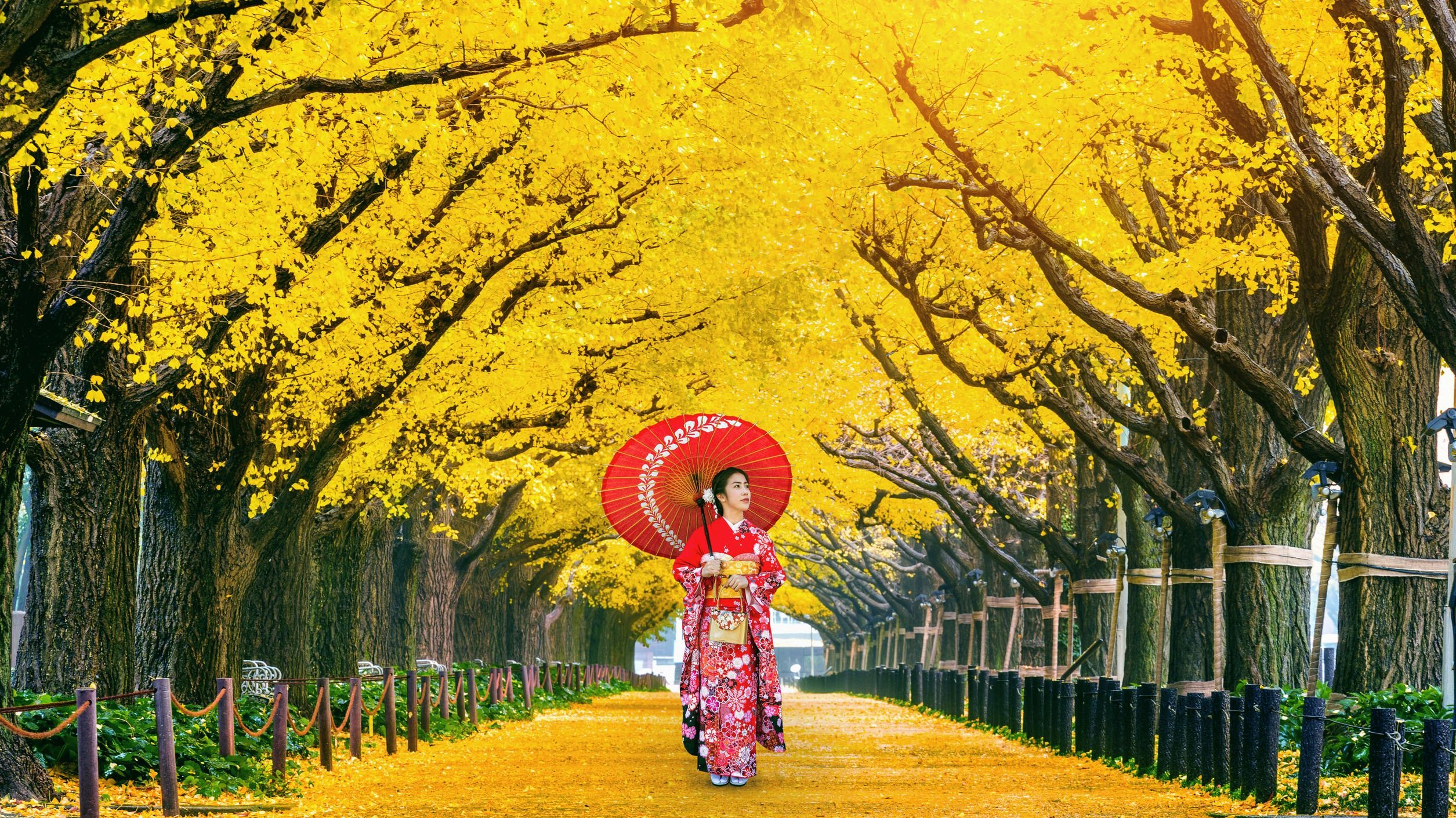 Mulher japonesa com traços tradicionais em meio a árvores amarelas