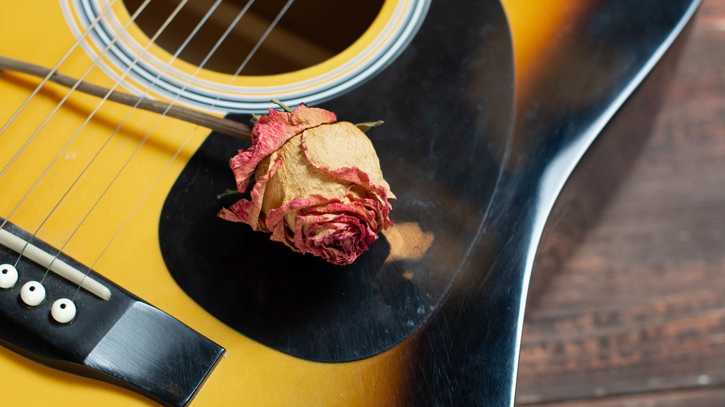 Rosa seca em cima de violão