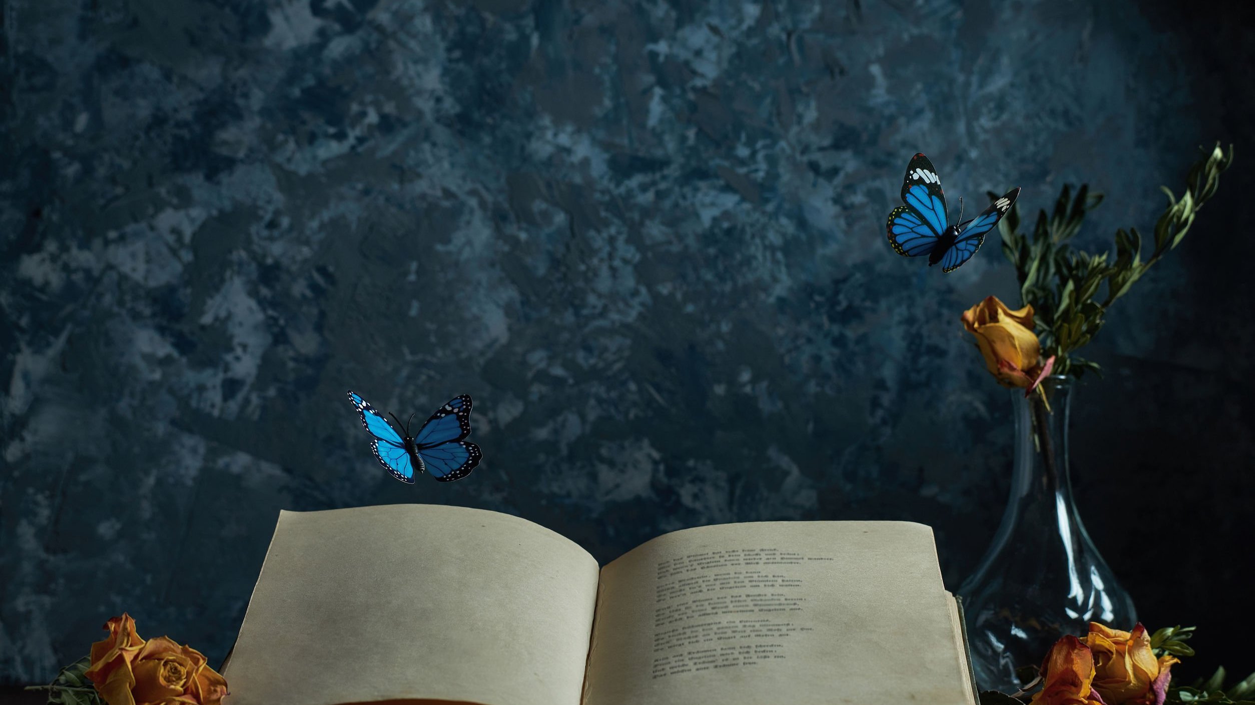 Borboletas azuis voando sobre bíblia aberta em cima de mesa.