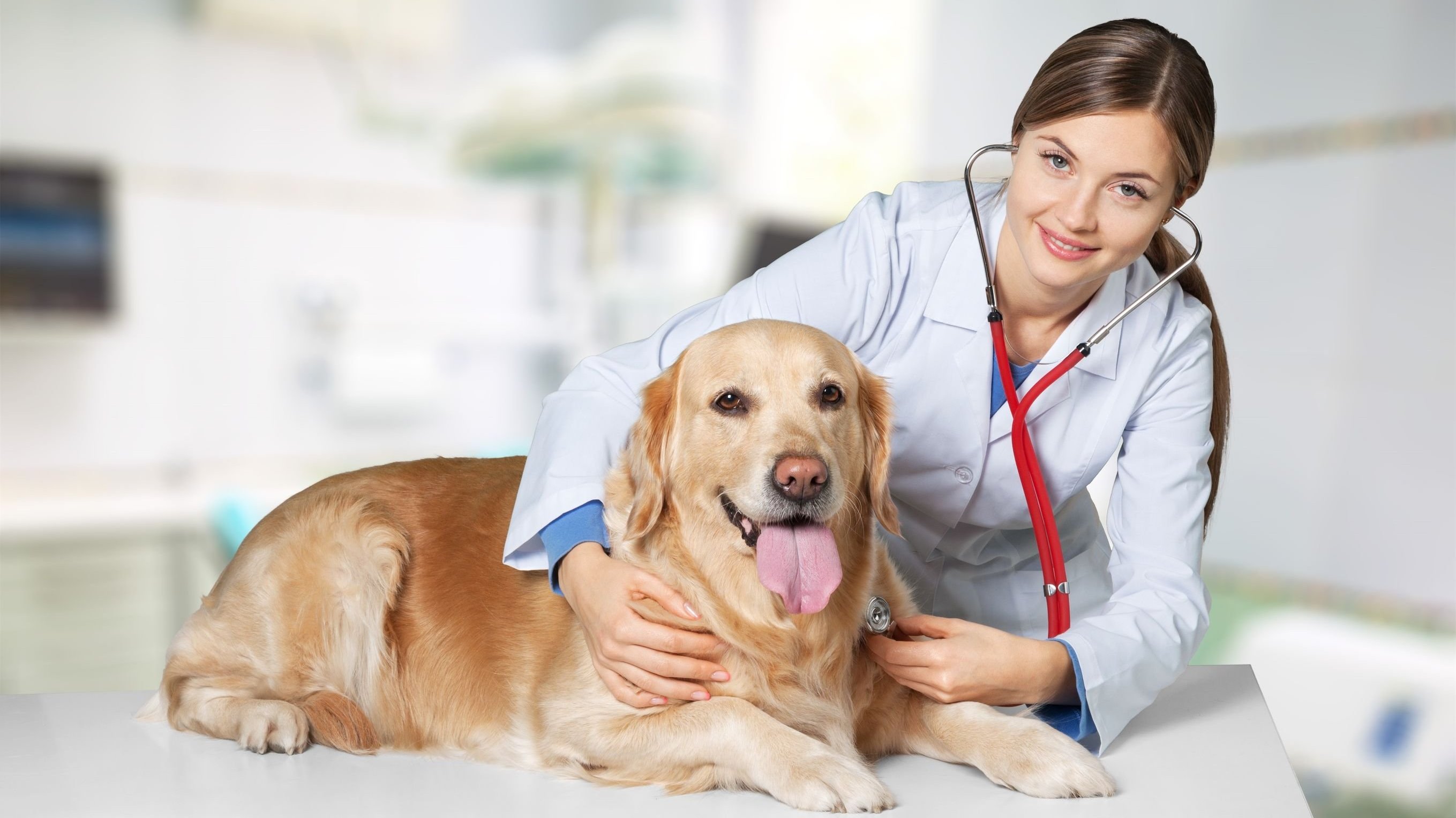Mulher veterinária sorrindo e abraçando cachorro.