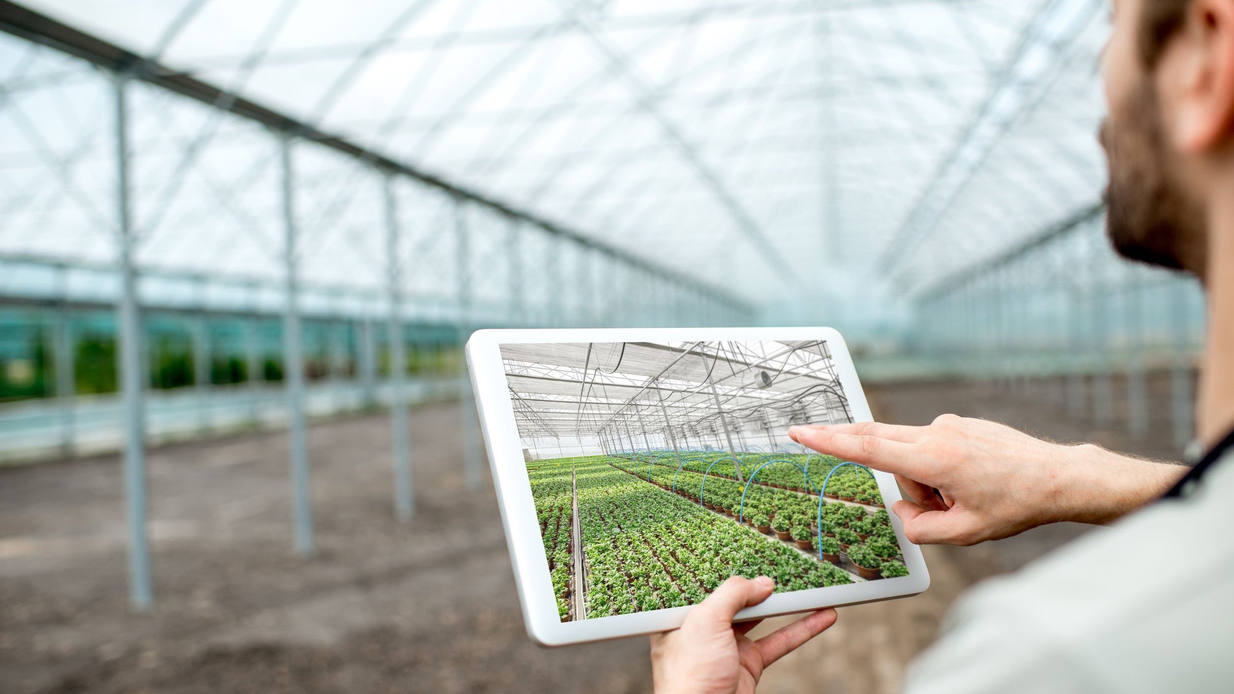 Homem segura tablet que contém projeto de futura plantação