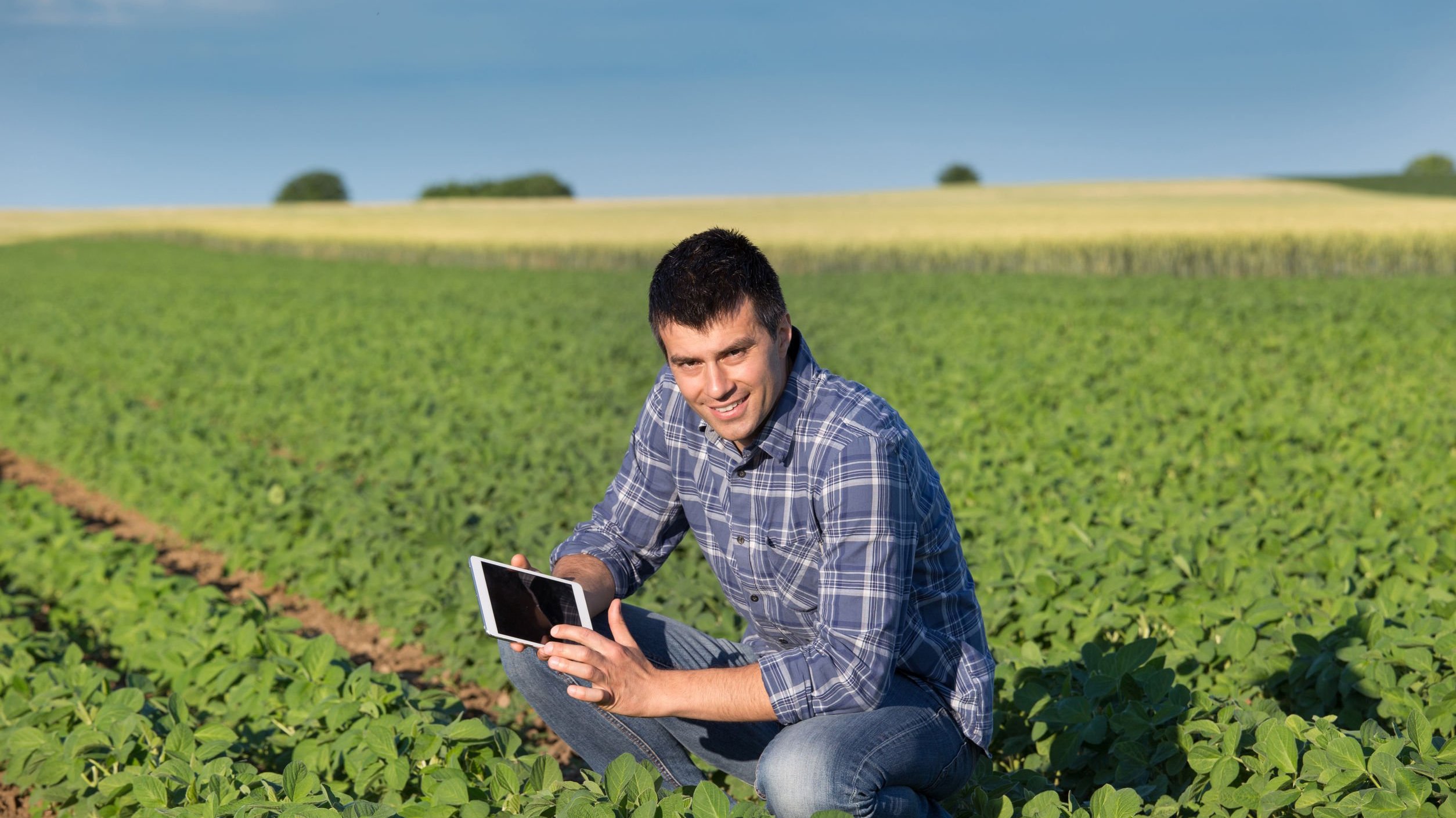 Homem agronomo sorrindo, em meio a plantação.