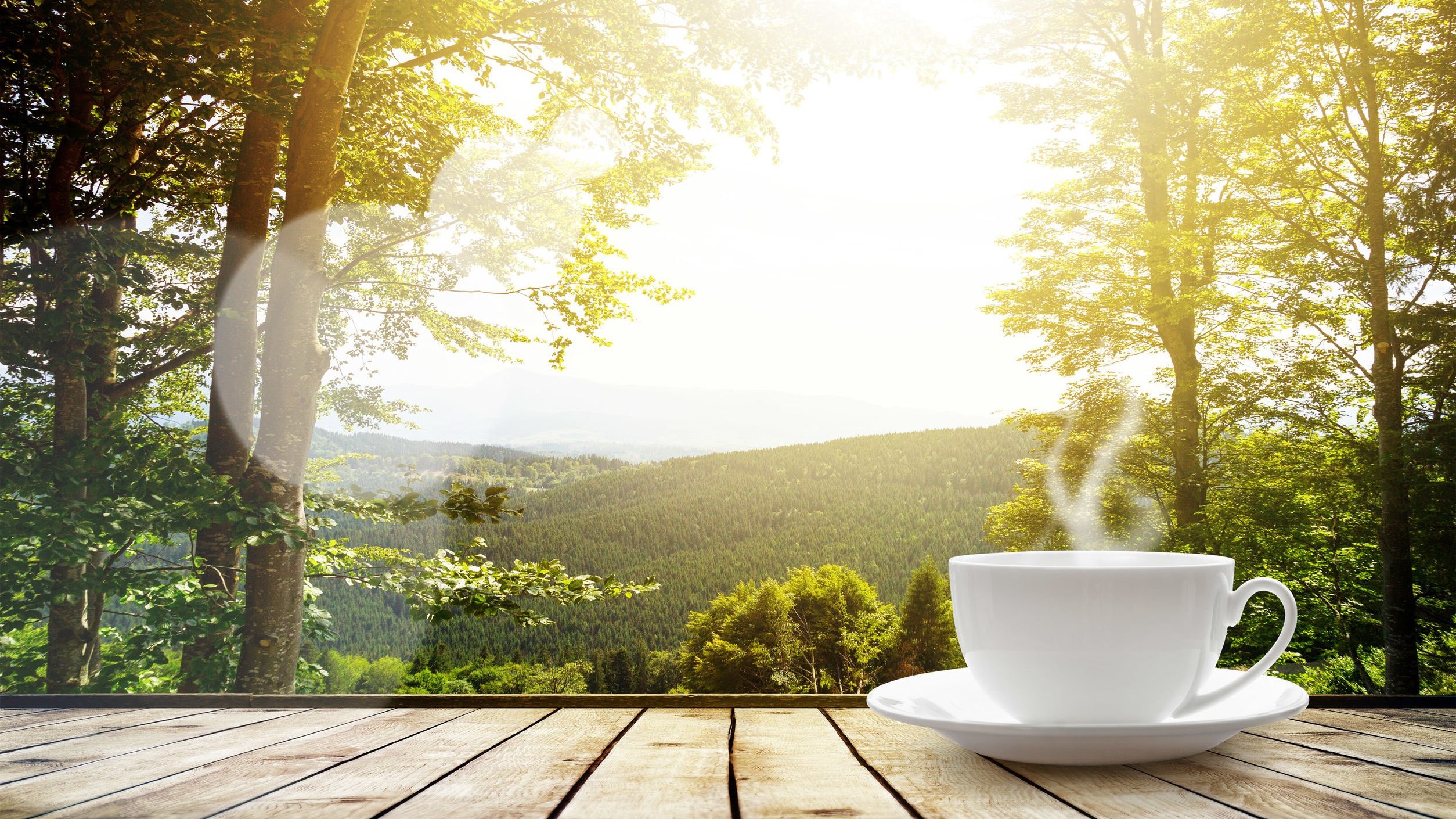 Xícara de café e paisagem ao amanhecer.