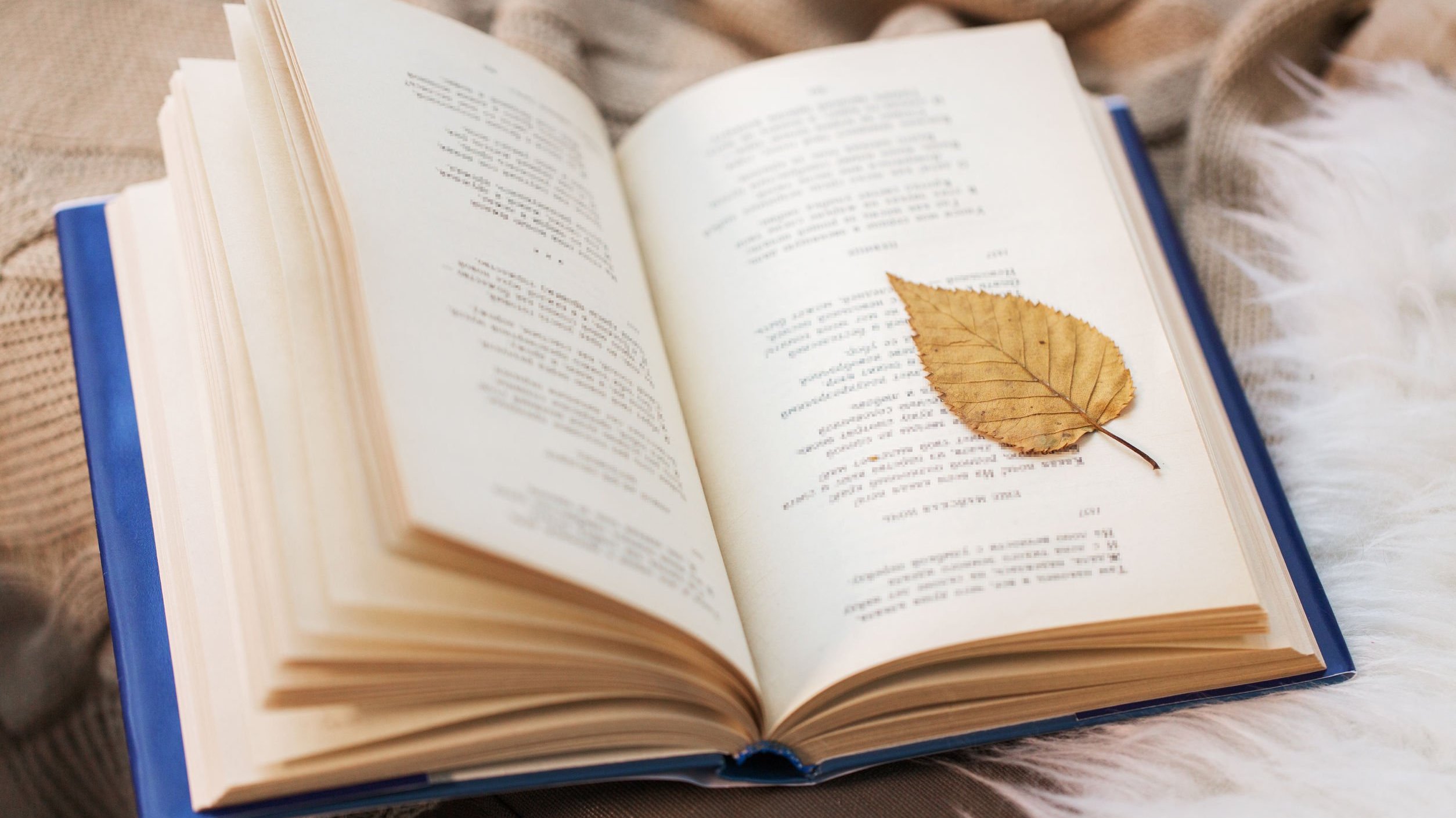 Livro aberto de poesias com uma folha de árvore