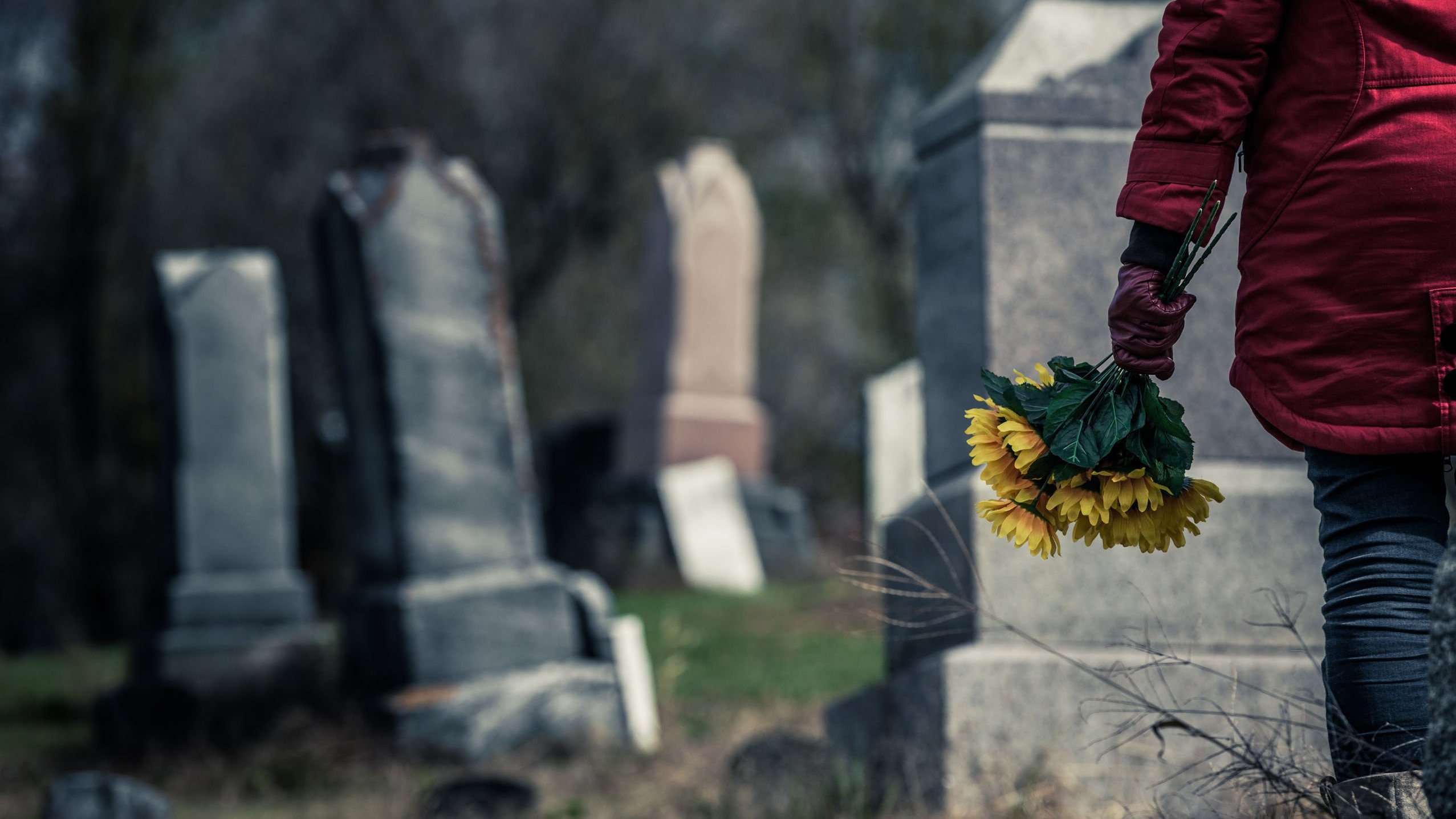 Pessoa segurando flor em cemitério.